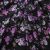 Плательная ткань "Фламенко" 20.1, 80 гр/м2, шир.150 см, принт растительный - купить в Тобольске. Цена 241.49 руб.
