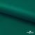 Ткань подкладочная Таффета, 19-5420, 53 г/м2, антистатик, шир. 150 см, вечнозеленый - купить в Тобольске. Цена 57.16 руб.