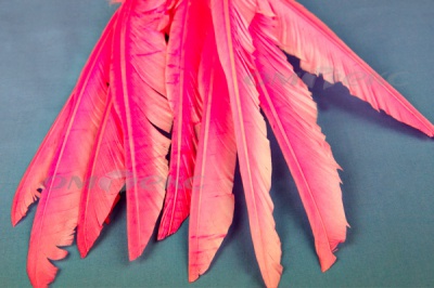 Декоративный Пучок из перьев, перо 25см/розовый - купить в Тобольске. Цена: 14.40 руб.