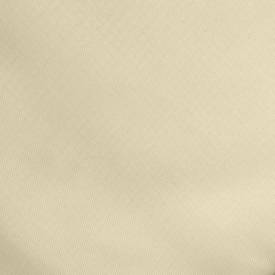 Ткань подкладочная Таффета 14-1014, антист., 53 гр/м2, шир.150см, цвет бежевый - купить в Тобольске. Цена 62.37 руб.
