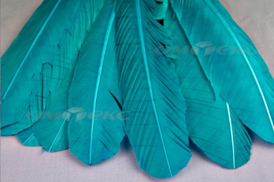 Декоративный Пучок из перьев, перо 24см/голубой - купить в Тобольске. Цена: 12.19 руб.