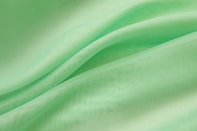Портьерный капрон 13-6009, 47 гр/м2, шир.300см, цвет св.зелёный - купить в Тобольске. Цена 143.68 руб.