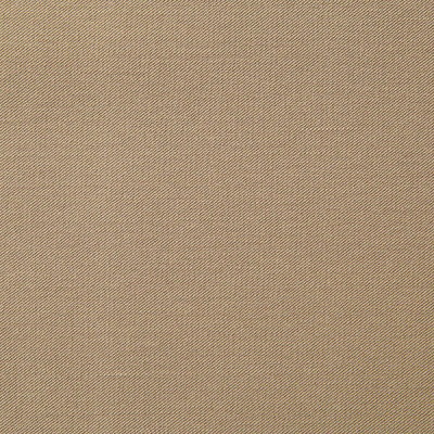 Костюмная ткань с вискозой "Меган" 18-1015, 210 гр/м2, шир.150см, цвет кофе милк - купить в Тобольске. Цена 384.79 руб.