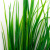 Трава искусственная -2, шт (осока 41см/8 см)				 - купить в Тобольске. Цена: 104.57 руб.