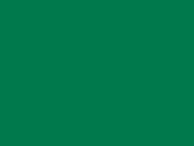 85 см № 258 яр. зеленый спираль (G) сорт-2 - купить в Тобольске. Цена: 16.97 руб.