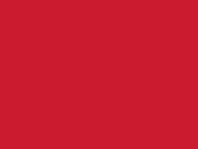 Сетка подкладочная красный, 60г/м2 (10 м/кг) - купить в Тобольске. Цена 894.77 руб.
