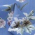 Плательная ткань "Фламенко" 12.1, 80 гр/м2, шир.150 см, принт растительный - купить в Тобольске. Цена 241.49 руб.