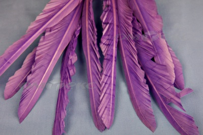 Декоративный Пучок из перьев, перо 25см/фиолетовый - купить в Тобольске. Цена: 12.19 руб.