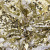 Трикотажное полотно, Сетка с пайетками, шир.130 см, #315, цв.-белый/золото - купить в Тобольске. Цена 693.39 руб.